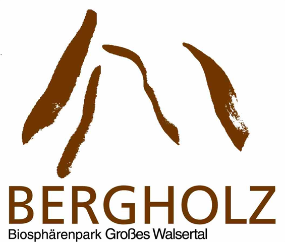 Bergholz Logo